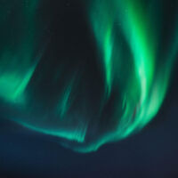 Flex Insider June 2025