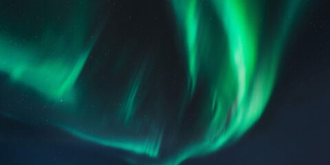 Flex Insider June 2025