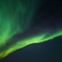 Flex Insider November 2025