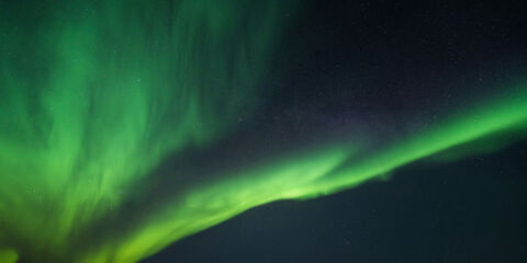 Flex Insider November 2025